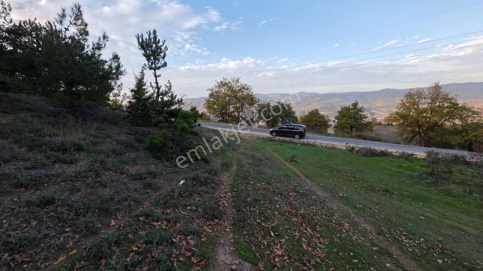 Asfalta Cepheli 1,781 M2 Akçapınar'da Kaçırılmayacak Arazi - Görsel 4