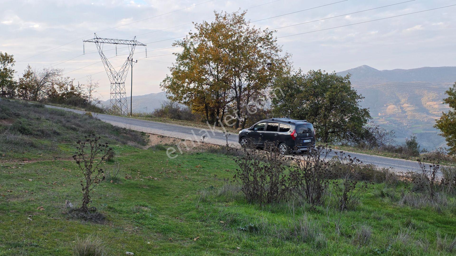 Asfalta Cepheli 1,781 M2 Akçapınar'da Kaçırılmayacak Arazi - Görsel 29