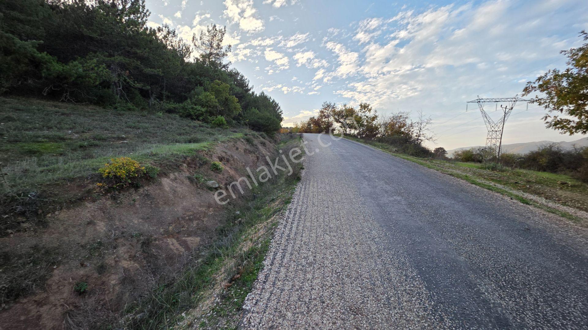 Asfalta Cepheli 1,781 M2 Akçapınar'da Kaçırılmayacak Arazi - Görsel 8