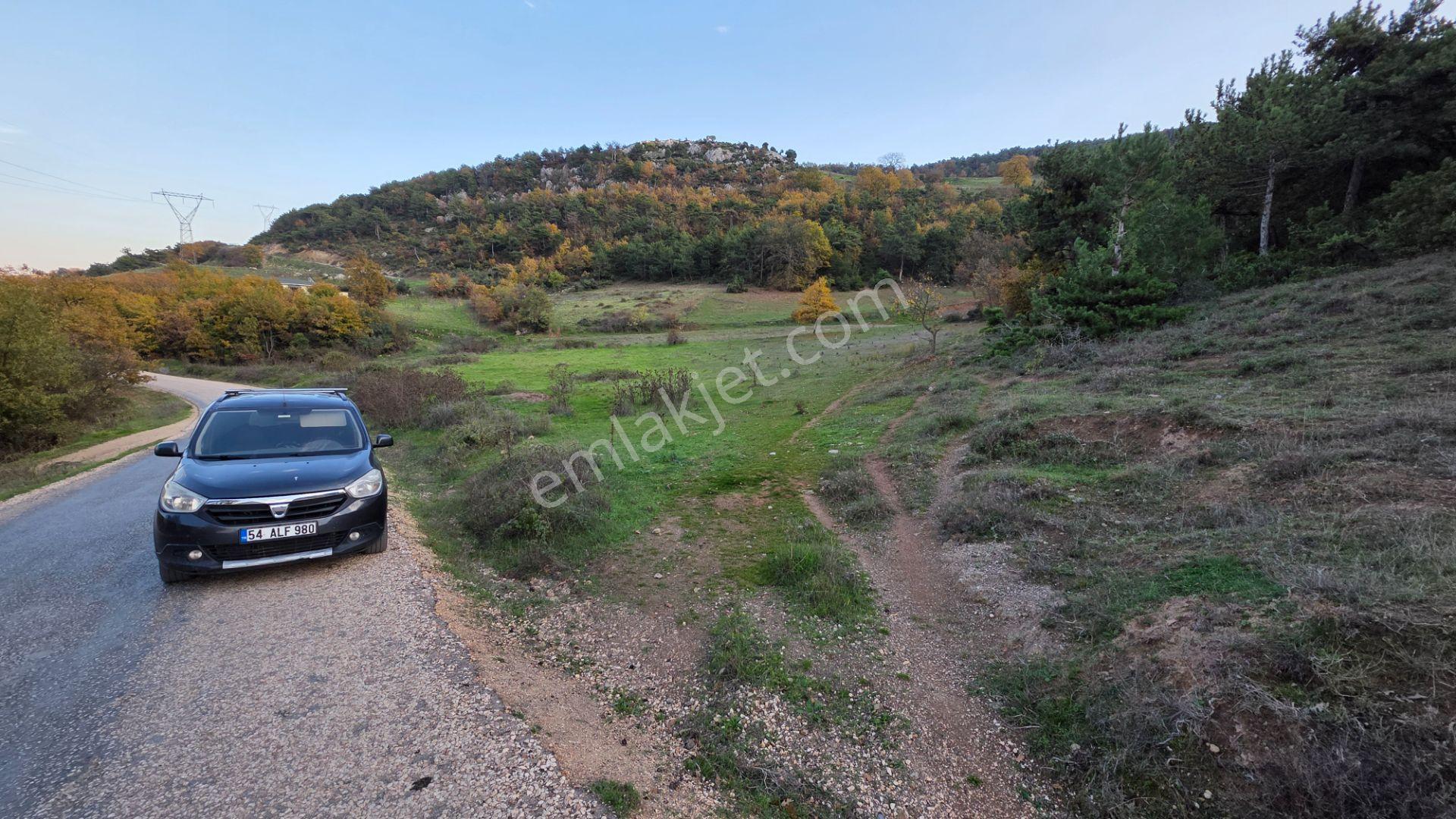 Asfalta Cepheli 1,781 M2 Akçapınar'da Kaçırılmayacak Arazi - Görsel 6