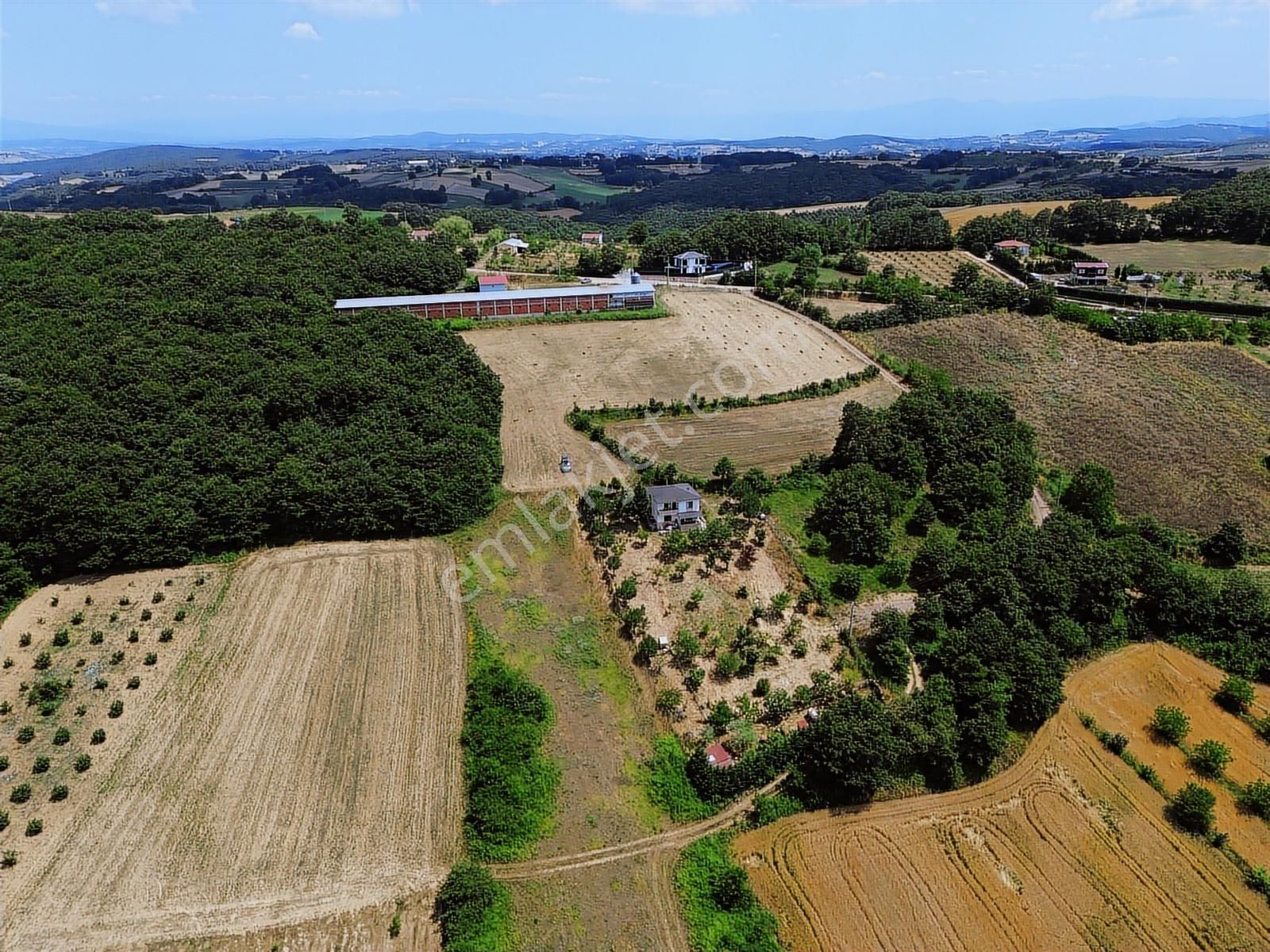 Kocaeli Kandıra Hıdırlar Mah Satılık Yatırımlık Fırsat Tarlalar - Görsel 22