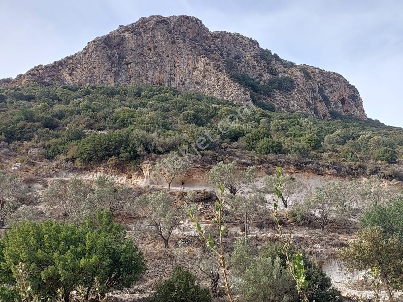 Muğla Datça Yazı Da 15 200 M2 Müstakil Arazi Satılık - Görsel 3