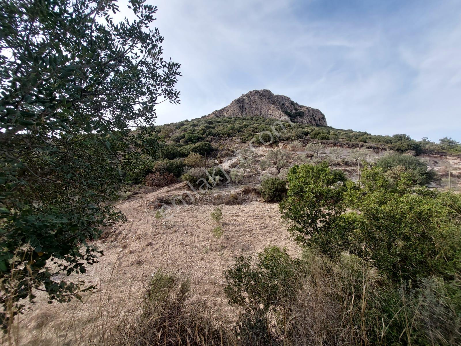 Muğla Datça Yazı Da 15 200 M2 Müstakil Arazi Satılık - Görsel 6