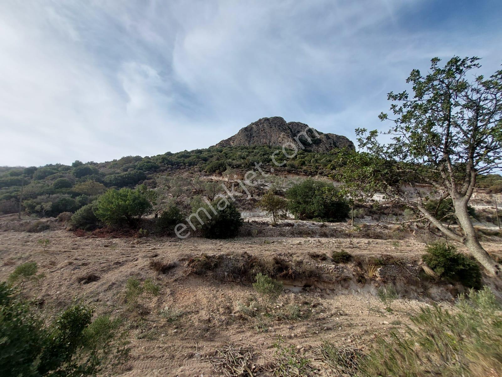 Muğla Datça Yazı Da 15 200 M2 Müstakil Arazi Satılık - Görsel 2