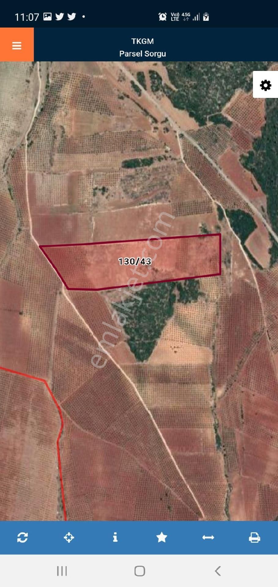 Aydın Karacasuda Satılık 56 Dönüm Tarla - Görsel 5