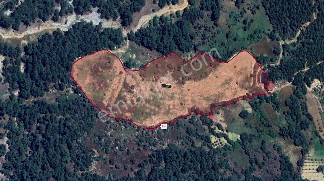 Takasa Açık Kuyucak Hazır İncir Bahçesi 37,330 M2 - Görsel 3