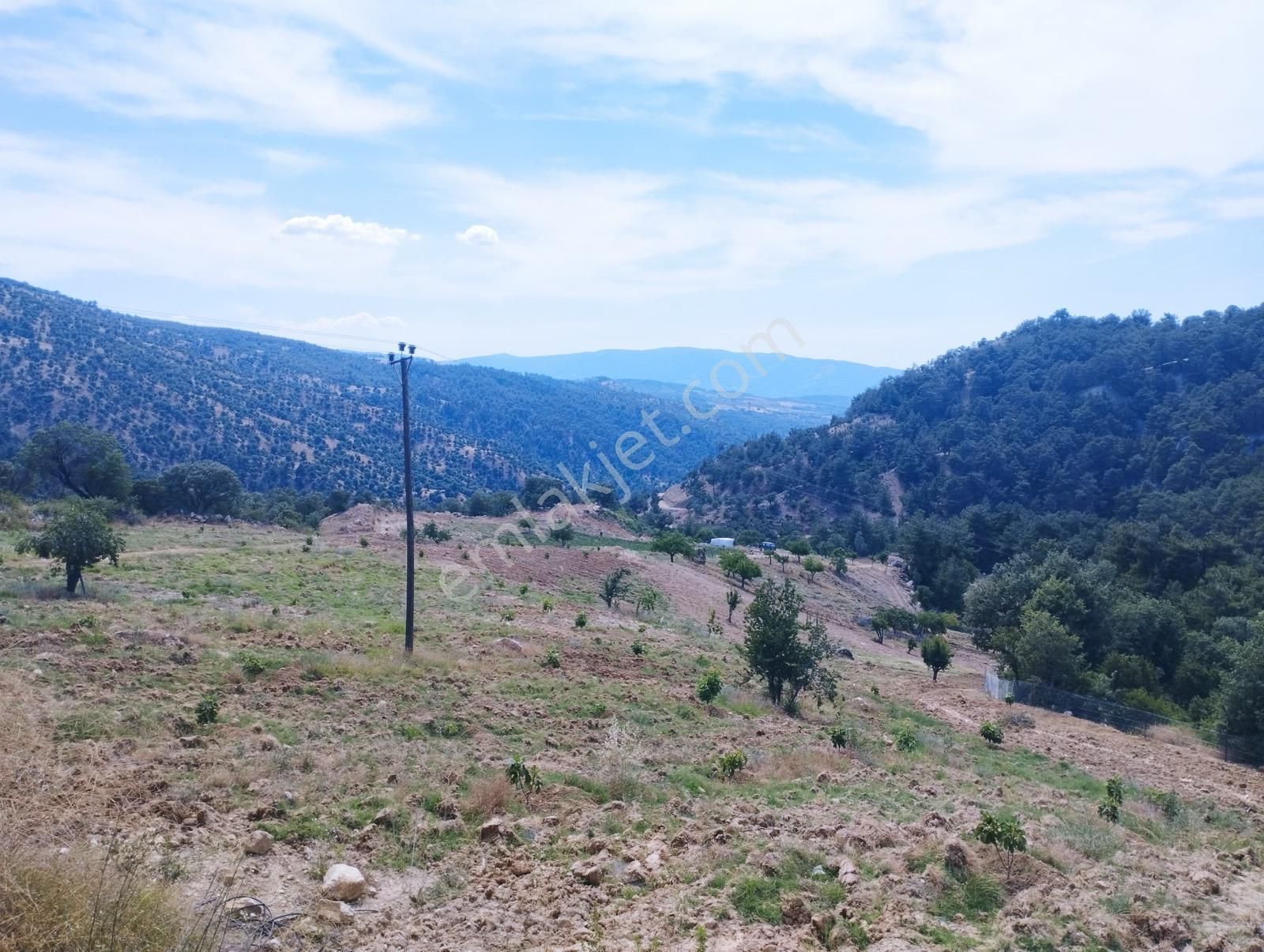 Takasa Açık Kuyucak Hazır İncir Bahçesi 37,330 M2 - Görsel 2