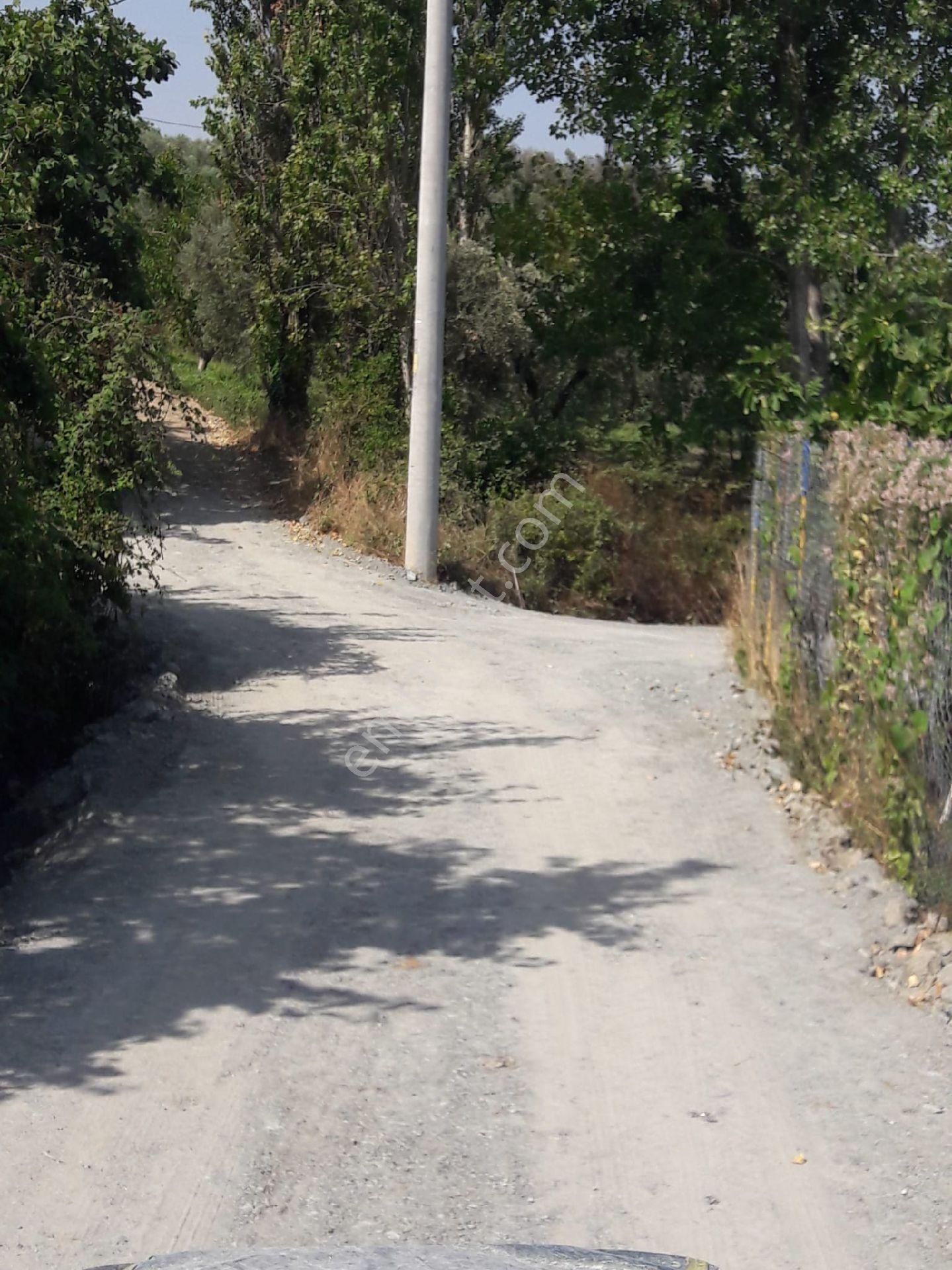 👉 Bursa Mudanya’da Fırsat Zeytinlik– 1.739 M², Resmi Yol Cepheli - Görsel 11