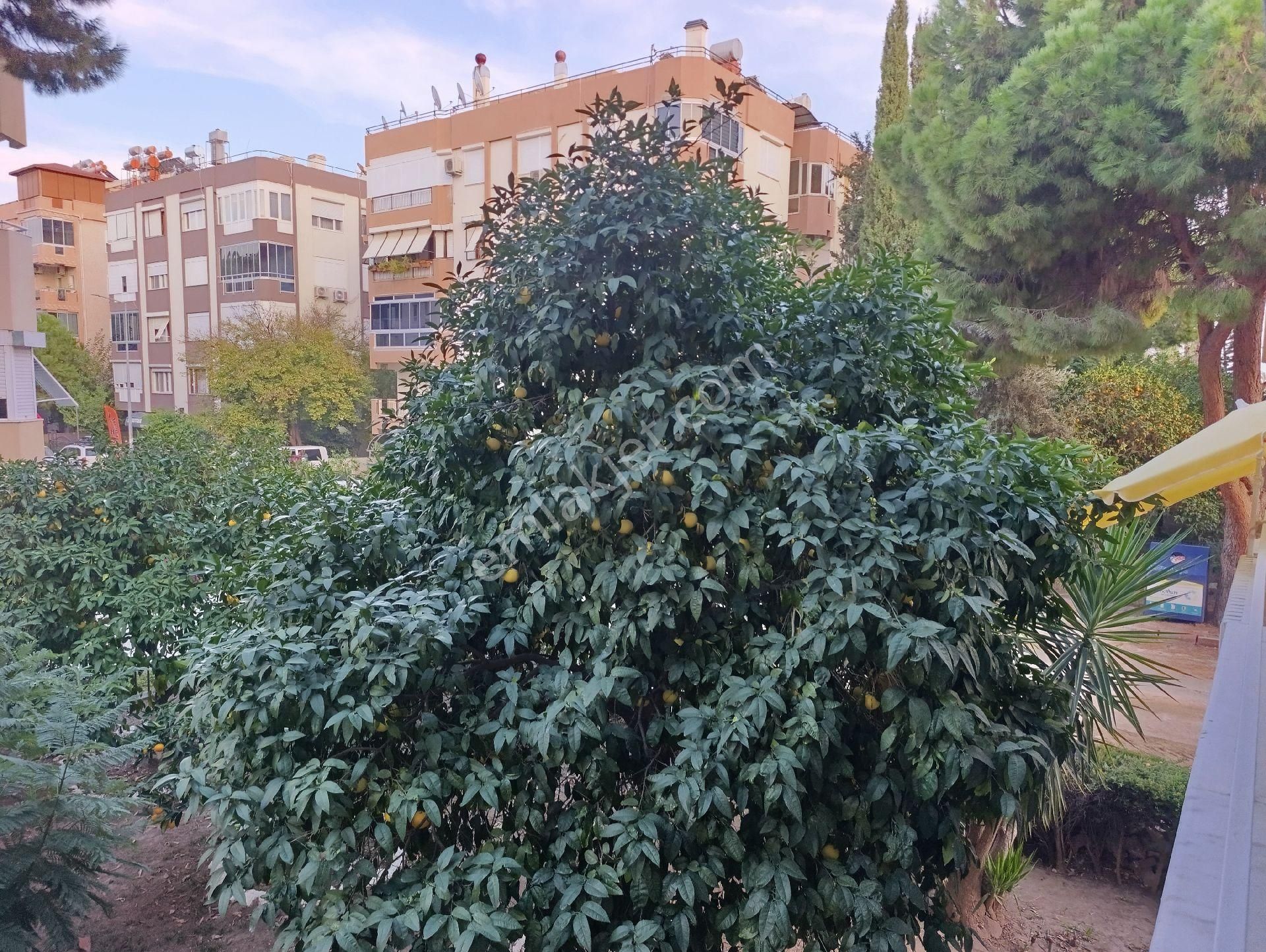 Limanda Sahile 130 M.mesafede Satılık Daire - Görsel 28