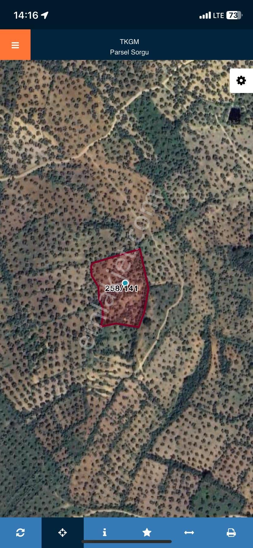 Burhaniye Pelitköyde Satılık Zeytinlik