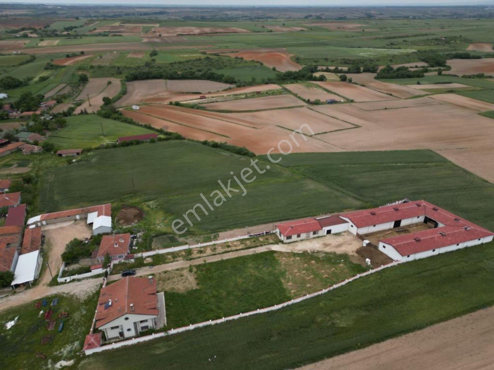 Kırklareli Erikli Yurdu Köyünde Satılık Çiftlik - Görsel 13