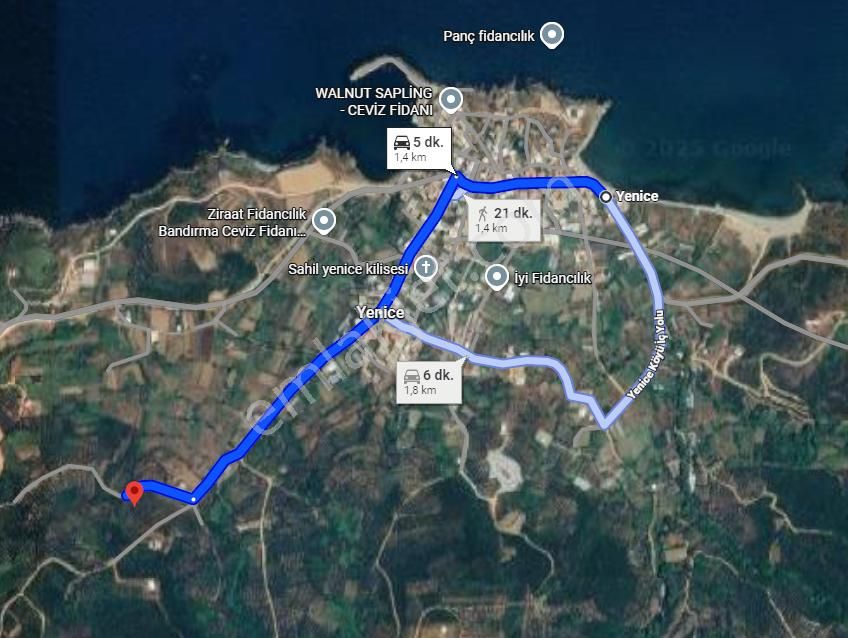 Balıkesir Bandırma Sunullah Mah. 3.283 M2 Satılık Zeytinlik Yatırımlık - Görsel 4