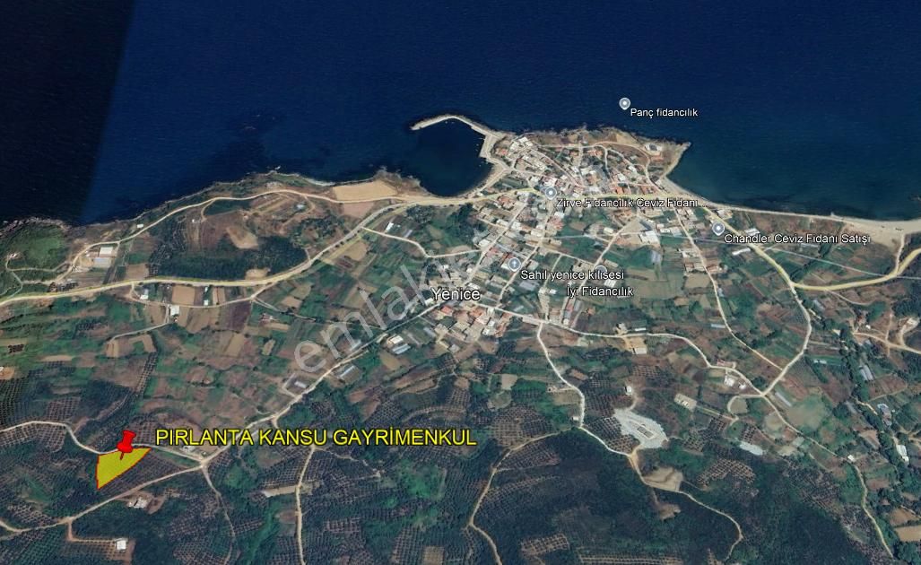 Balıkesir Bandırma Sunullah Mah. 3.283 M2 Satılık Zeytinlik Yatırımlık - Görsel 8