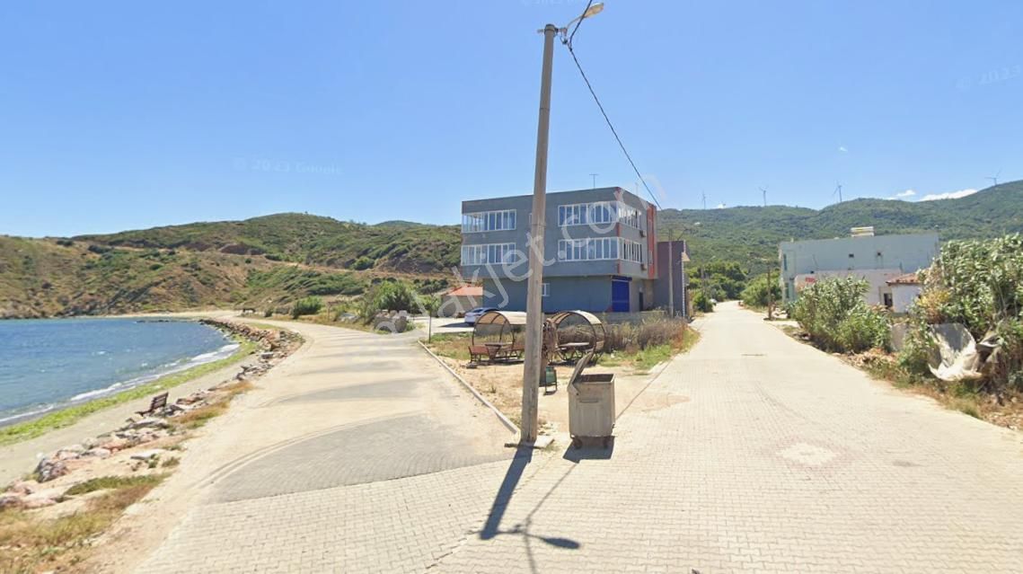 Balıkesir Bandırma Sunullah Mah. 3.283 M2 Satılık Zeytinlik Yatırımlık - Görsel 6