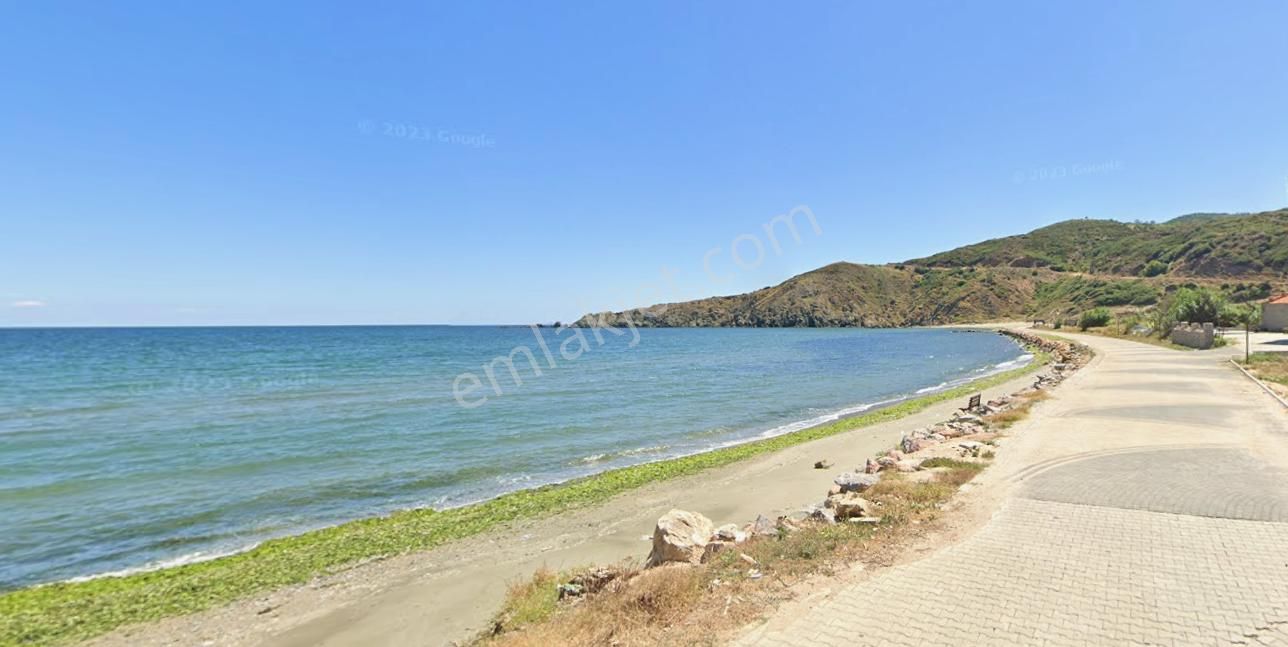 Balıkesir Bandırma Sunullah Mah. 3.283 M2 Satılık Zeytinlik Yatırımlık