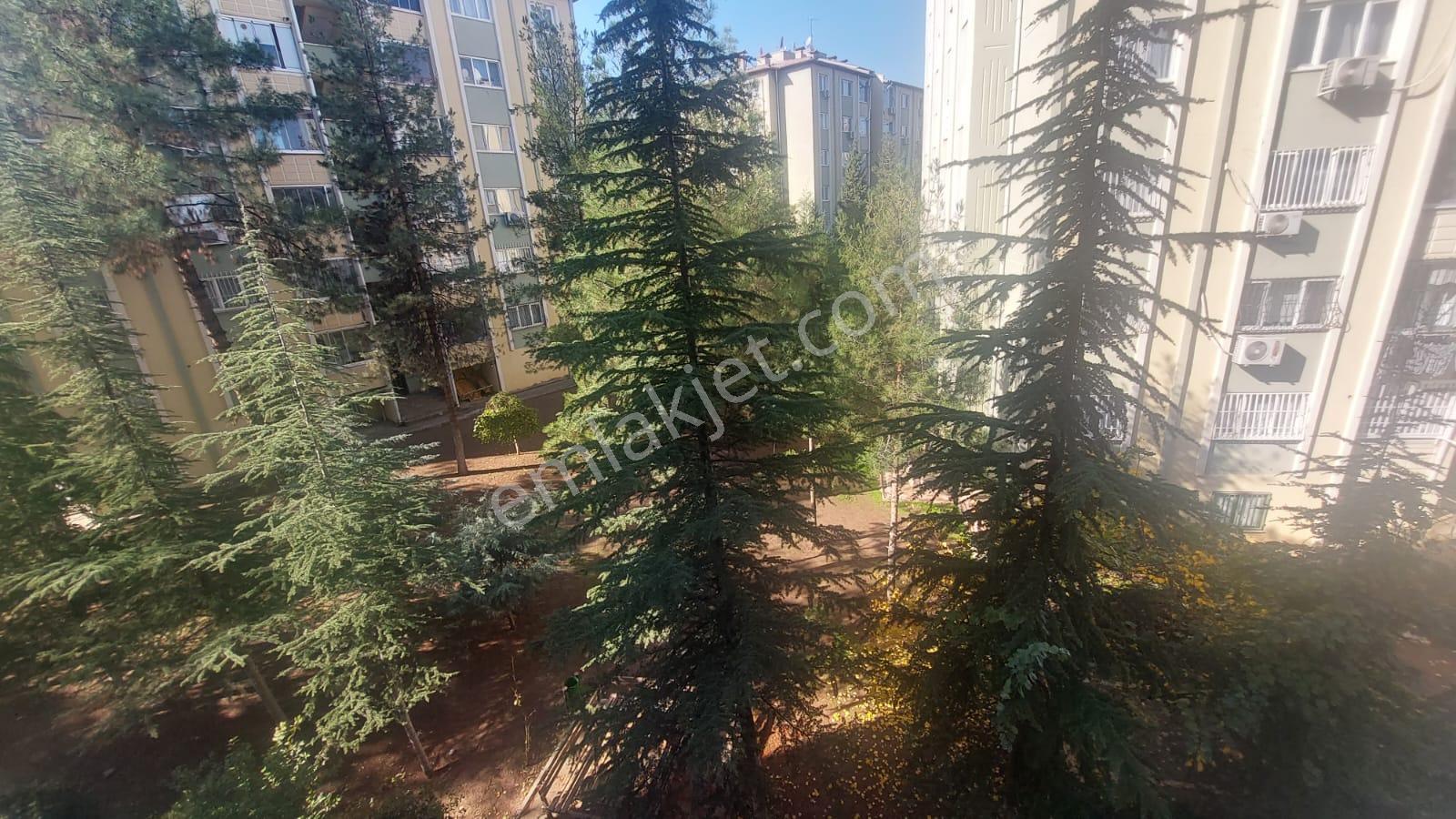 Seyrantepe Toki'de 3+1 Full Bakımlı Fırsat Daire - Görsel 10