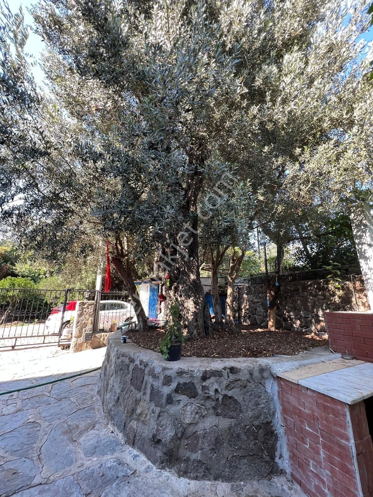 Bodrum Turgutreis Te 3+2 Yıllık Kiralık Müstakil Taş Ev - Görsel 19