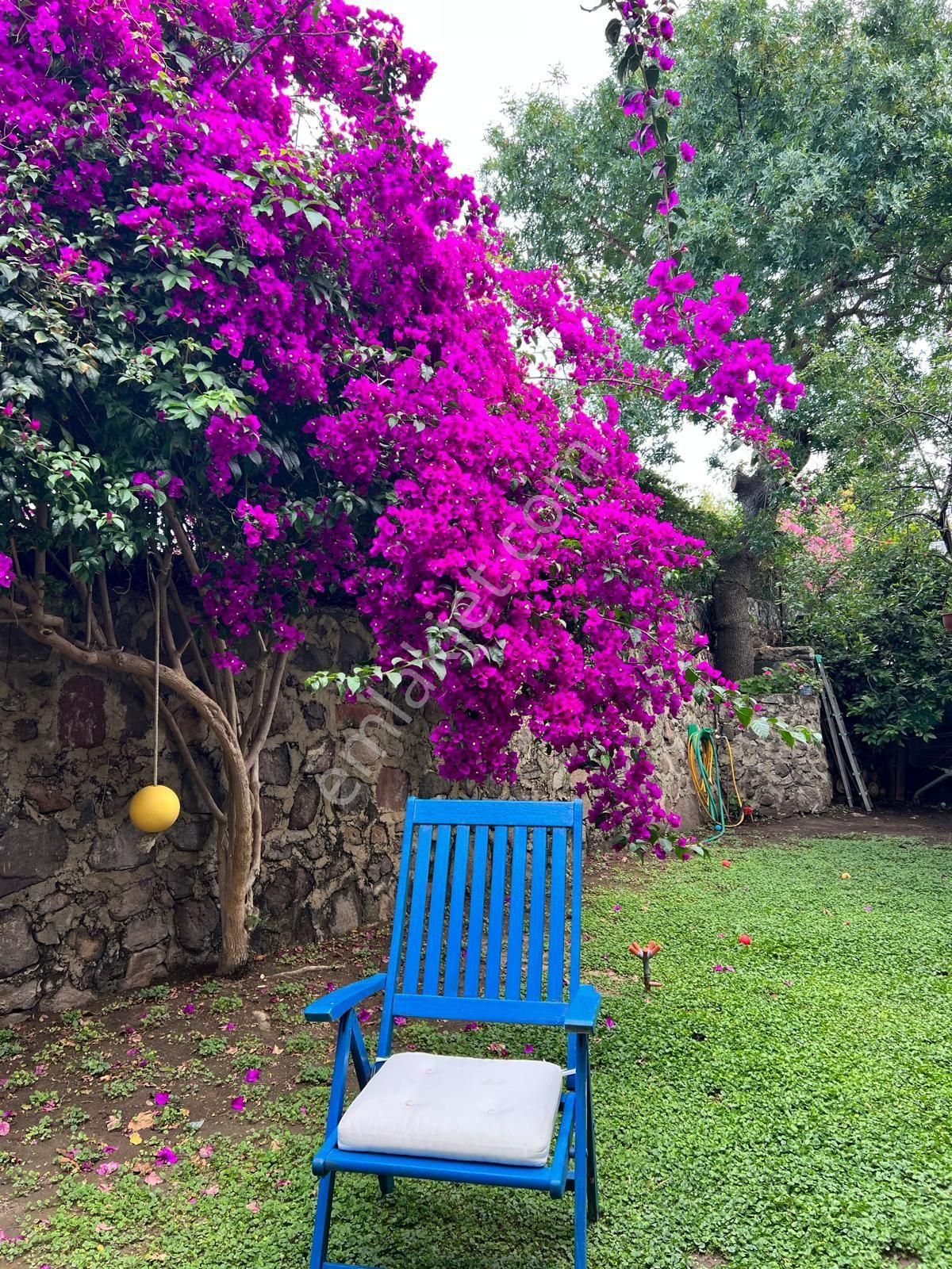 Bodrum Turgutreis Te 3+2 Yıllık Kiralık Müstakil Taş Ev - Görsel 23