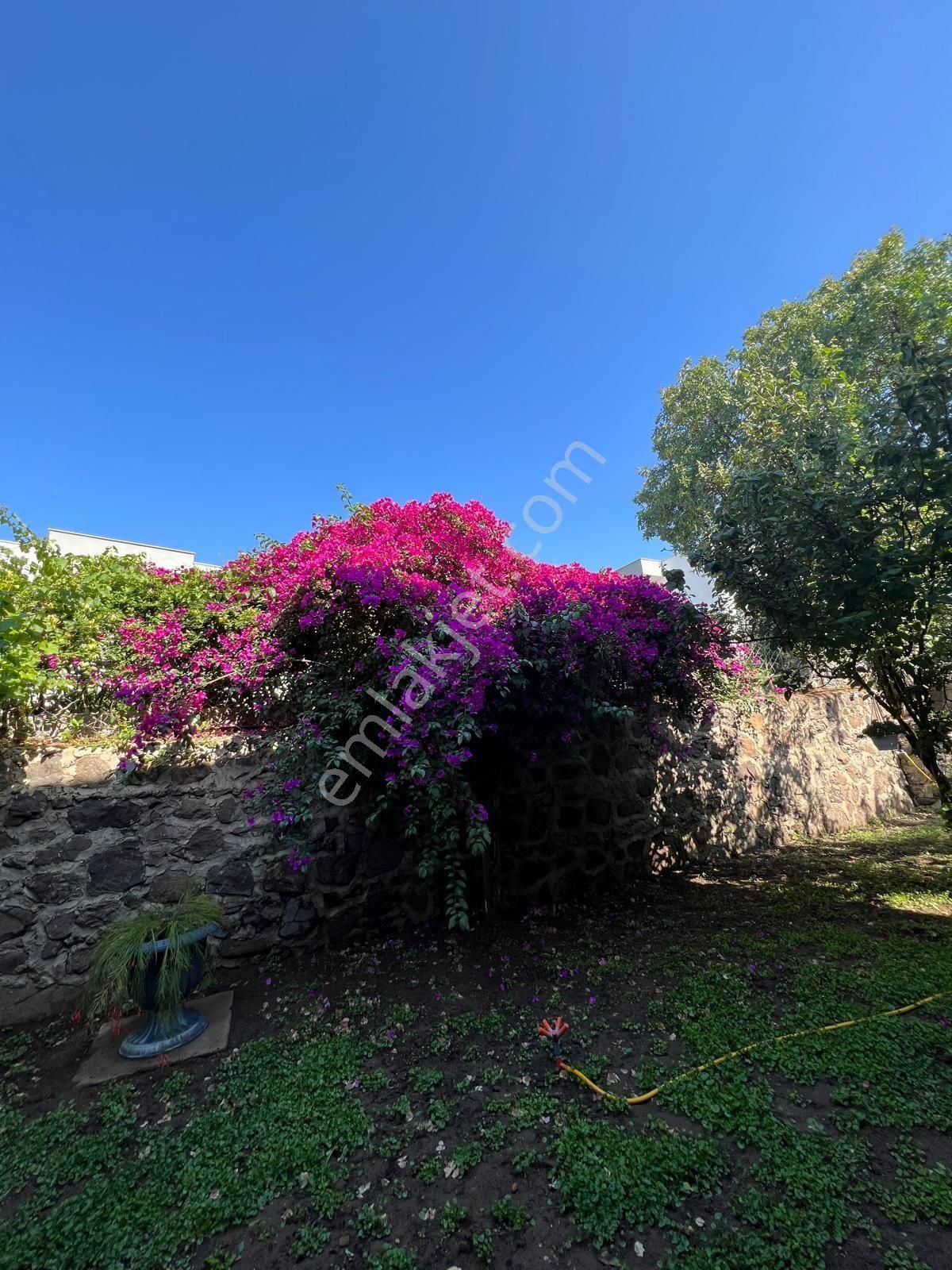 Bodrum Turgutreis Te 3+2 Yıllık Kiralık Müstakil Taş Ev - Görsel 18