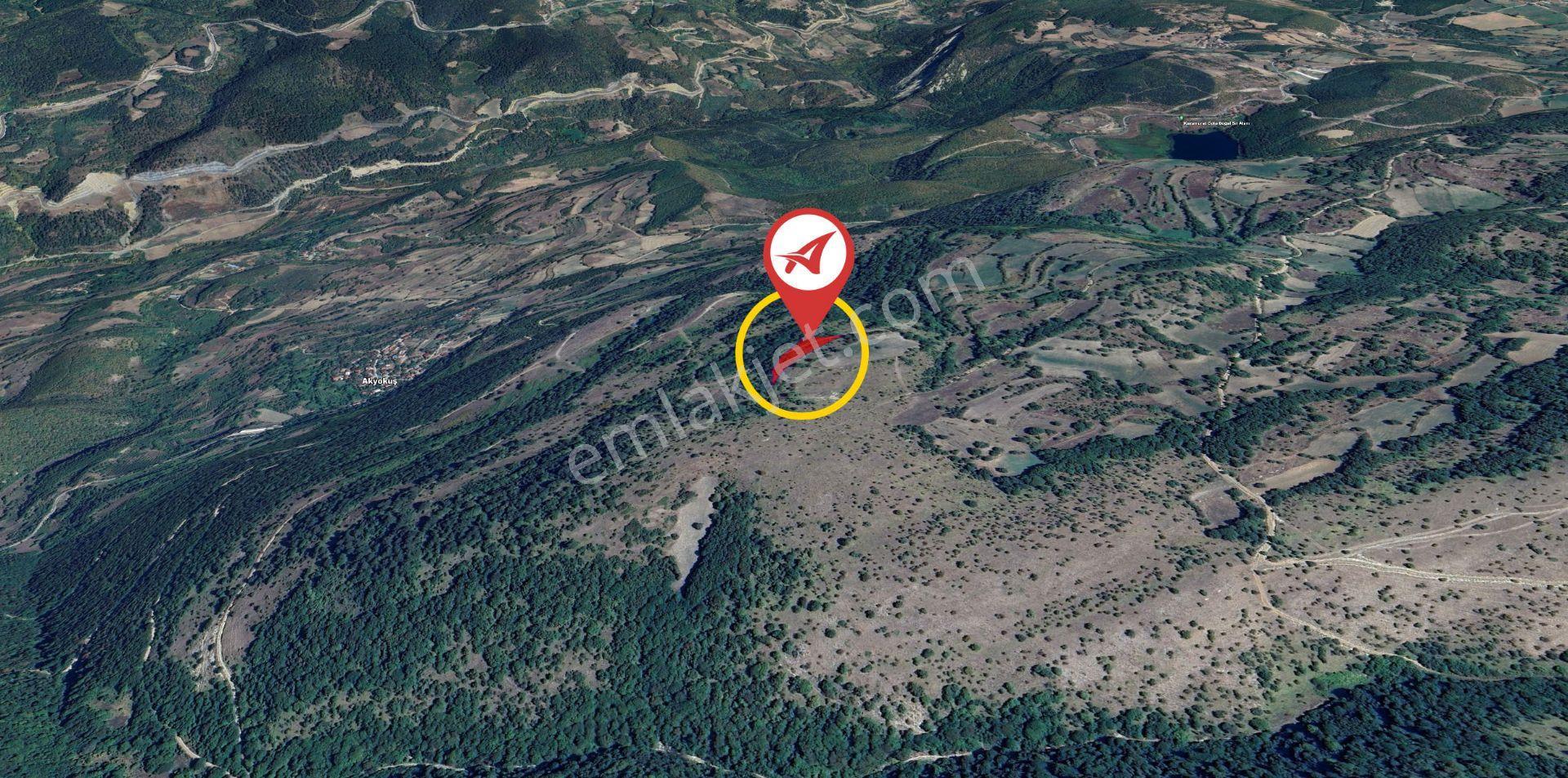 Bolu Mudurnu Dereköy Satılık Tarla 4113m2 - Görsel 6