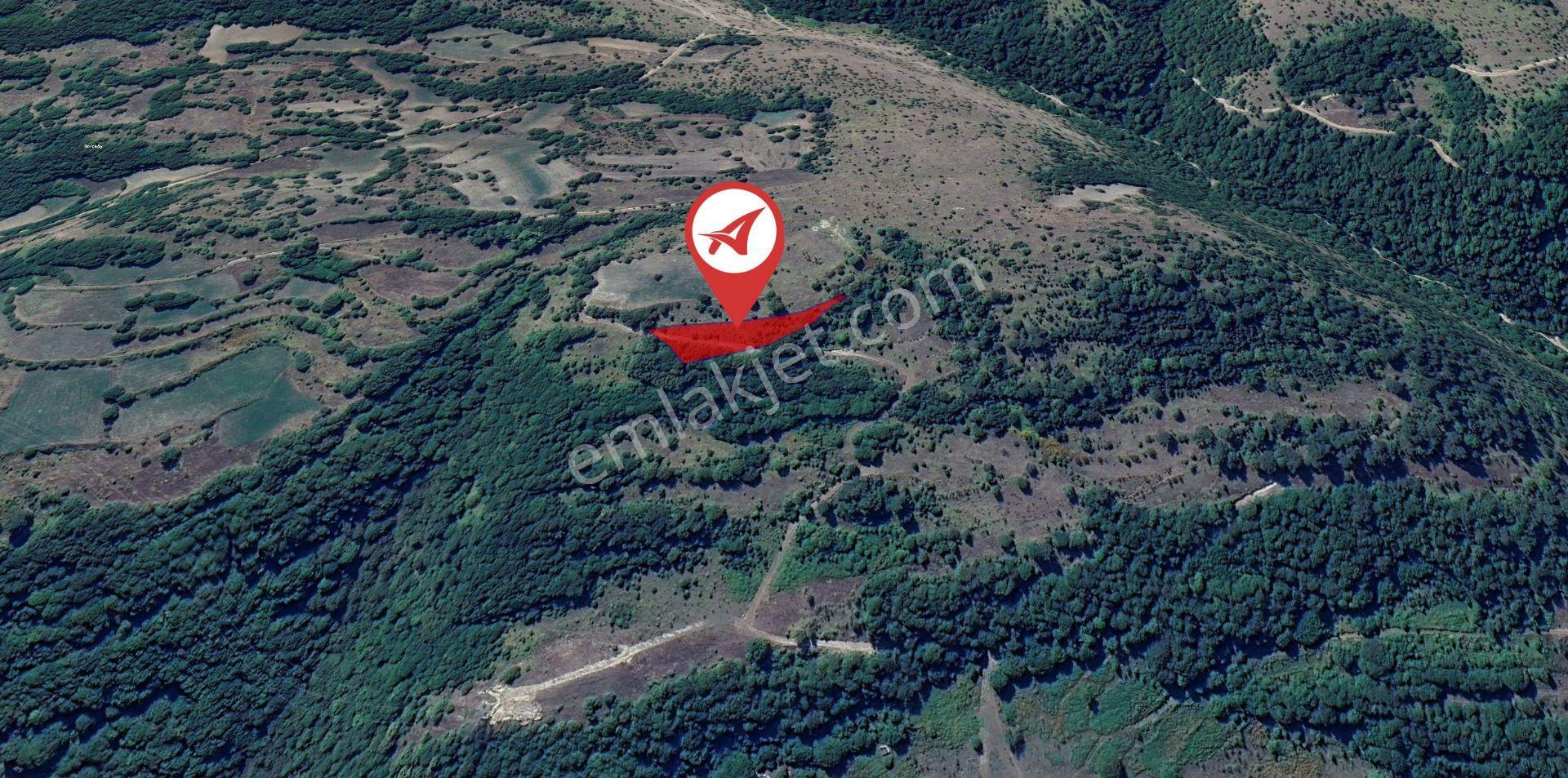 Bolu Mudurnu Dereköy Satılık Tarla 4113m2 - Görsel 2