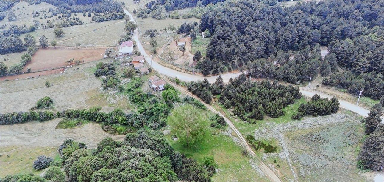 Mecidiye Cadra Mevkinde Yola Sıfır Zemini Düz Tarla - Görsel 10