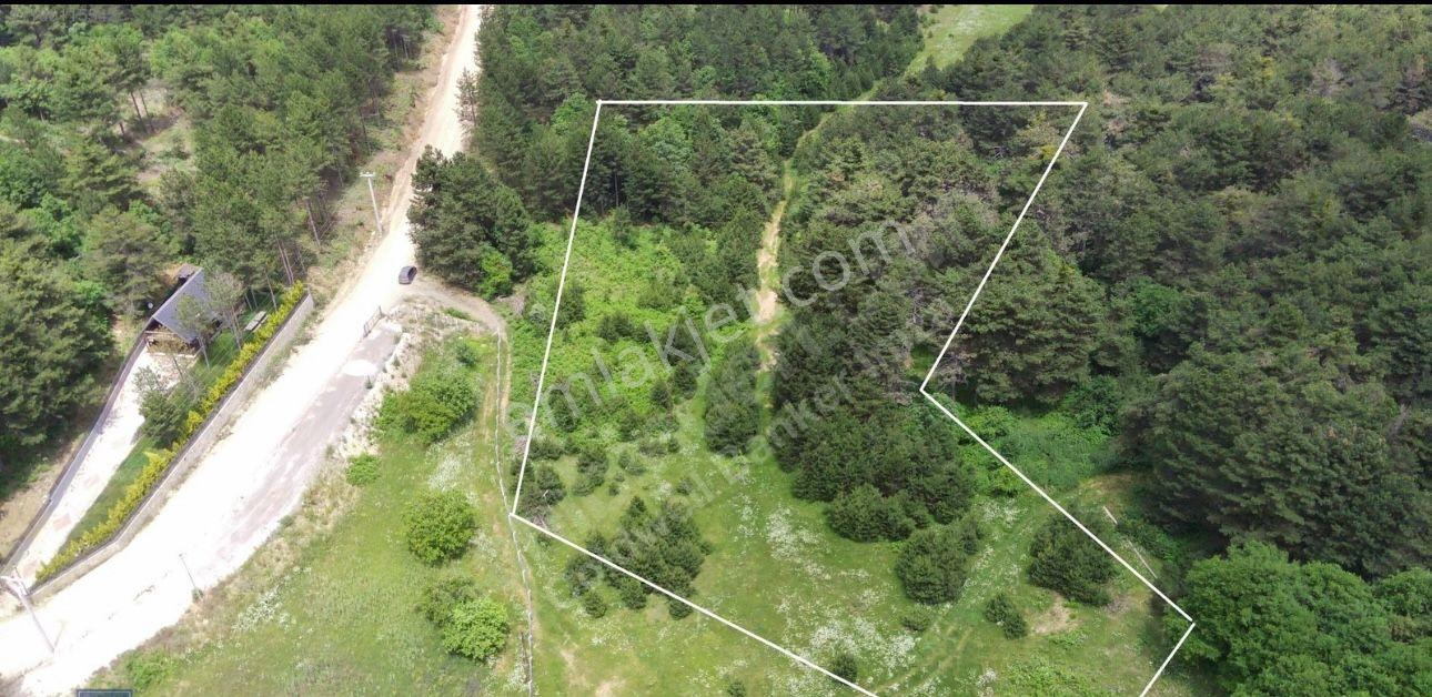 Mecidiye Cadra Mevkinde Yola Sıfır Zemini Düz Tarla - Görsel 4