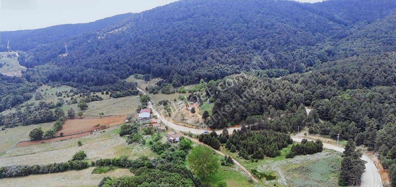 Mecidiye Cadra Mevkinde Yola Sıfır Zemini Düz Tarla - Görsel 3