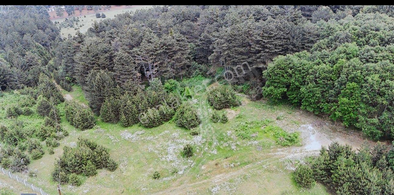 Mecidiye Cadra Mevkinde Yola Sıfır Zemini Düz Tarla - Görsel 16