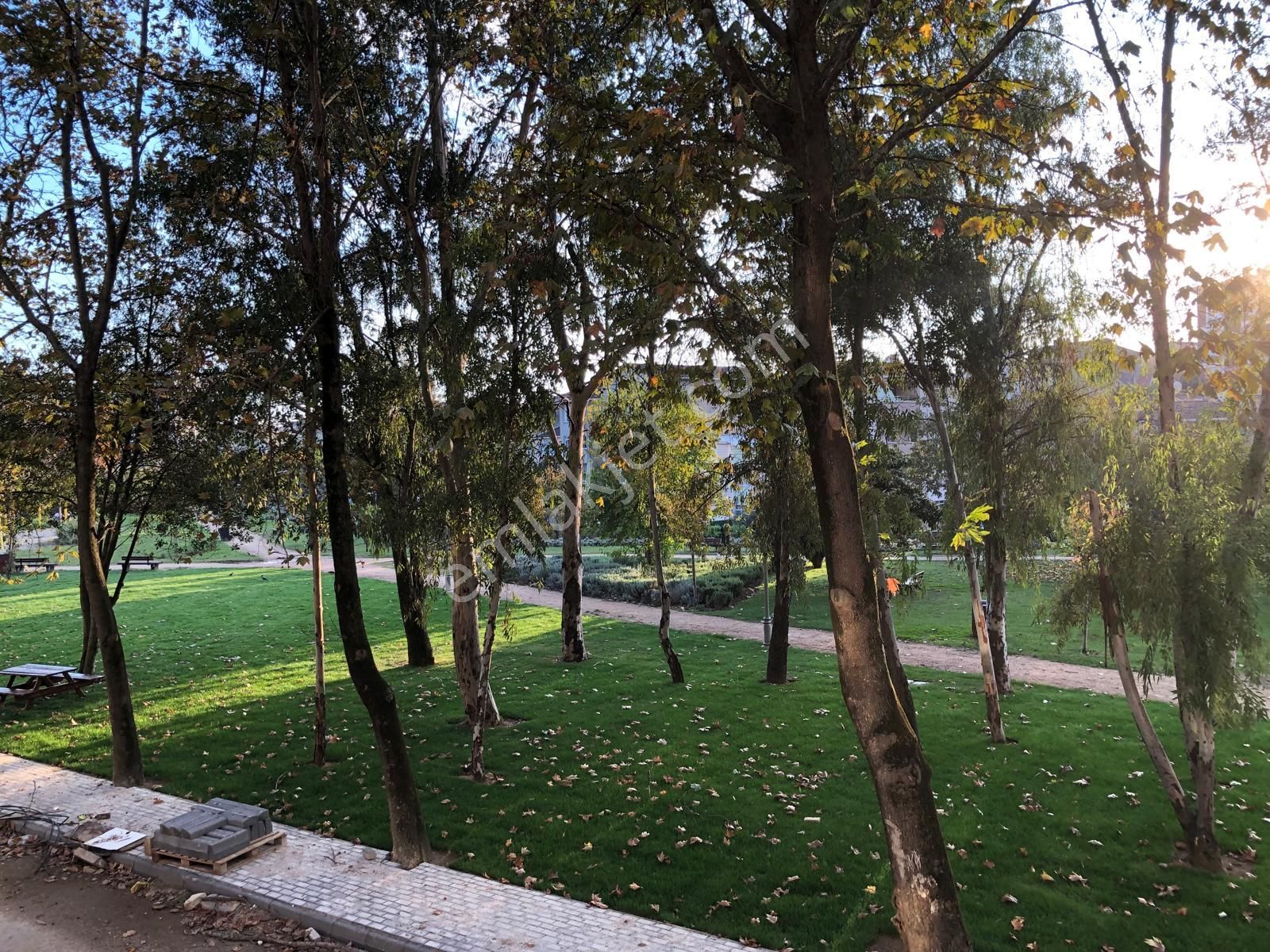 Akçadağ Gayrimenkul'den Dara Yapı 3+1 Ön Cephe Arakat Daire - Görsel 9