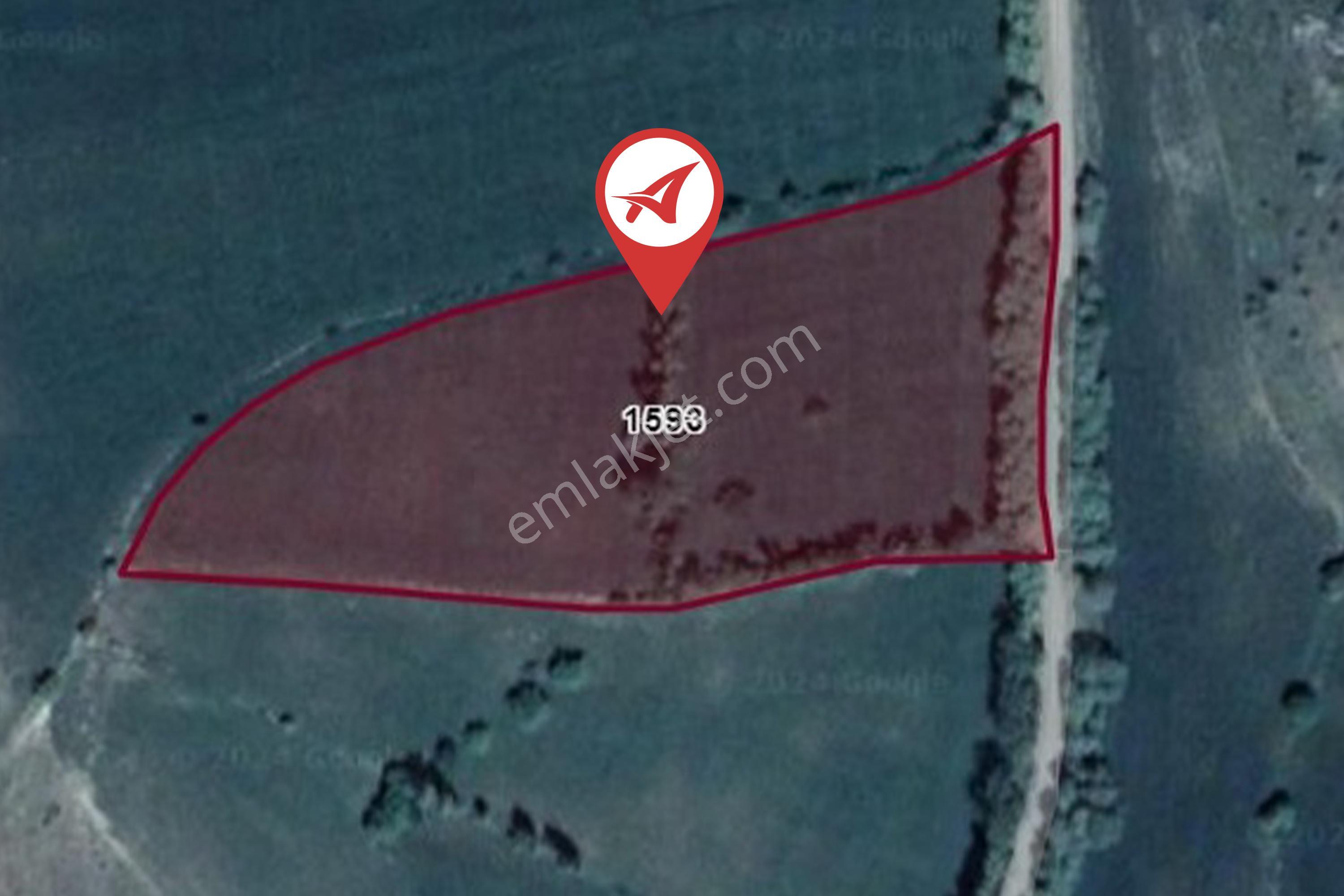 Çorum Mecitözü Hisarkavak Satılık 10000m2 Tarla - Görsel 8