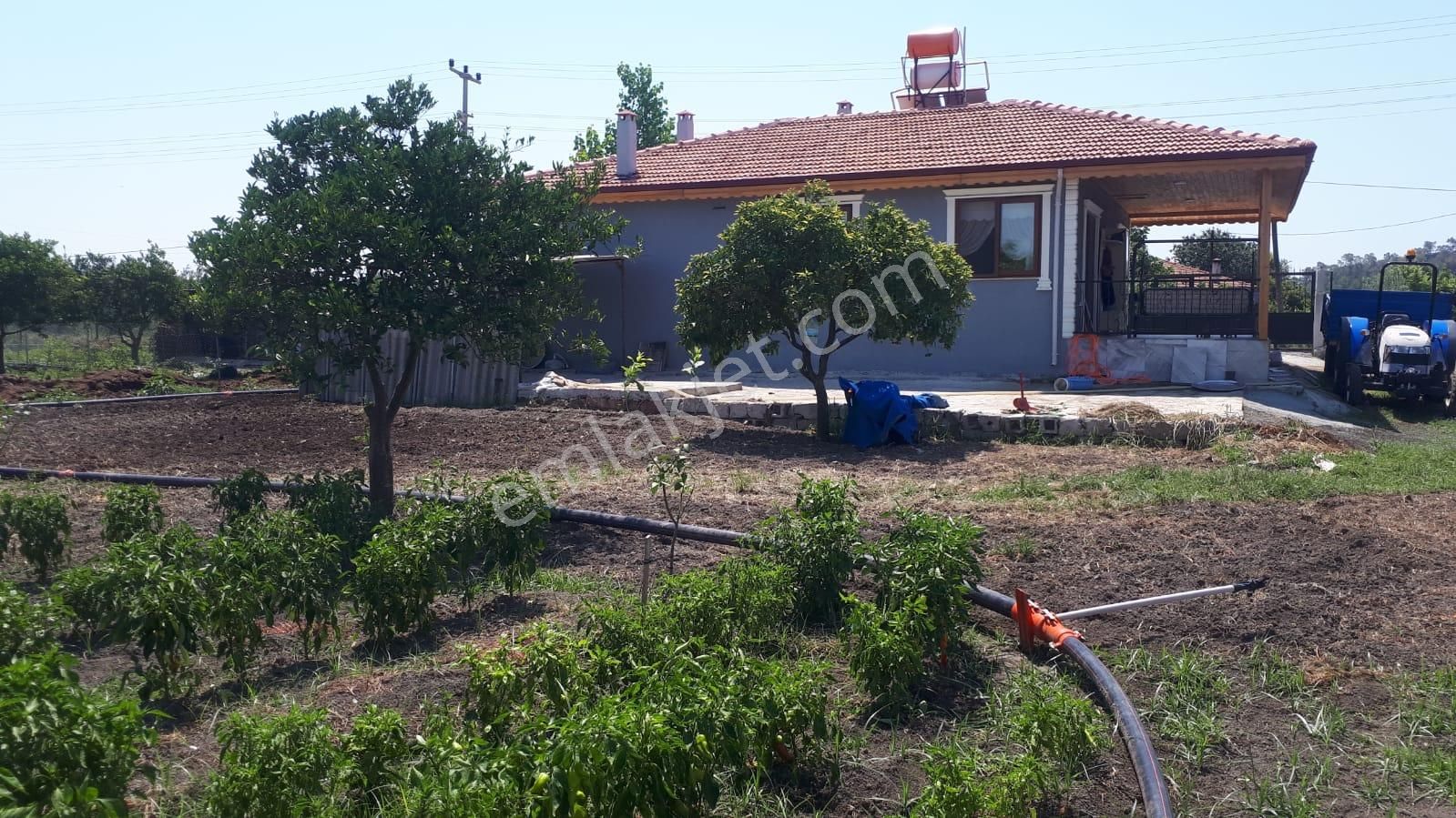 Ortaca Arıkbaşında 5400 M2 Hazır Çiftlik Satılık - Görsel 5