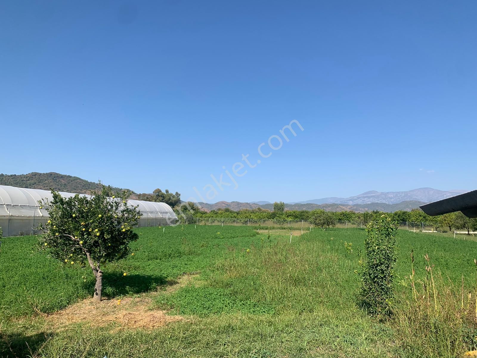 Ortaca Arıkbaşında 5400 M2 Hazır Çiftlik Satılık - Görsel 3