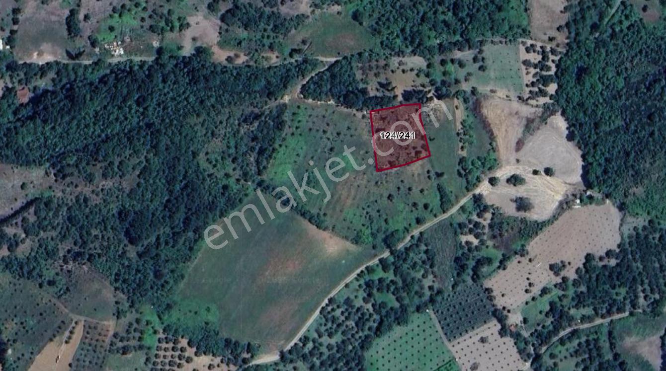 Kocaeli Karamürsel Akçat 1607 M² Satılık Bakımlı Meyve Bahçesi - Görsel 22