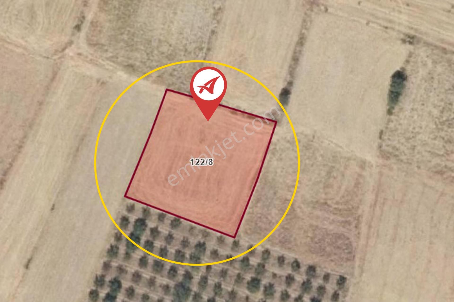 Denizli-çivril-sundurlu Satılık 1952m2 Tarla - Görsel 9