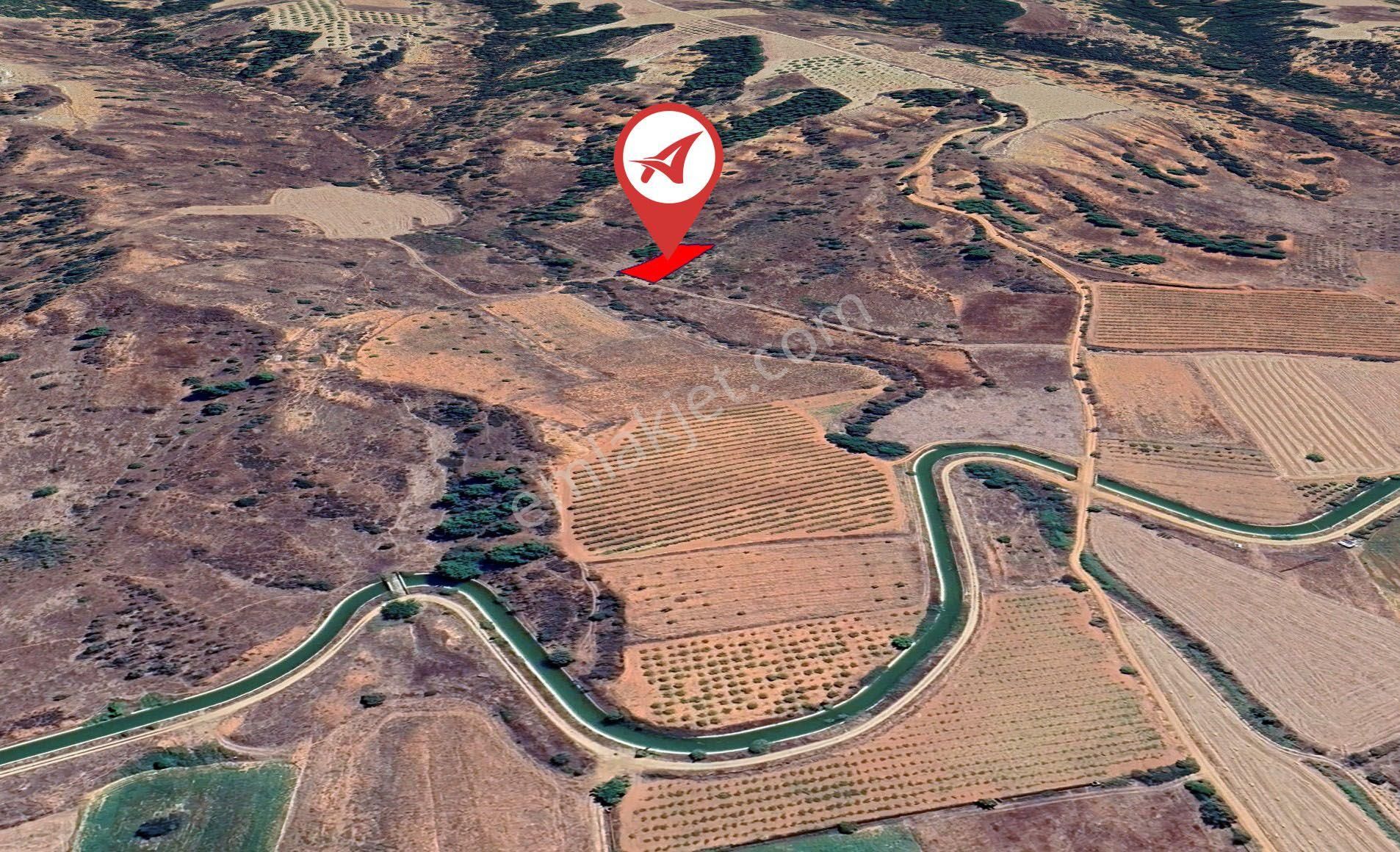 Denizli-çal-süller Satılık-1218m2 Çamlık - Görsel 5