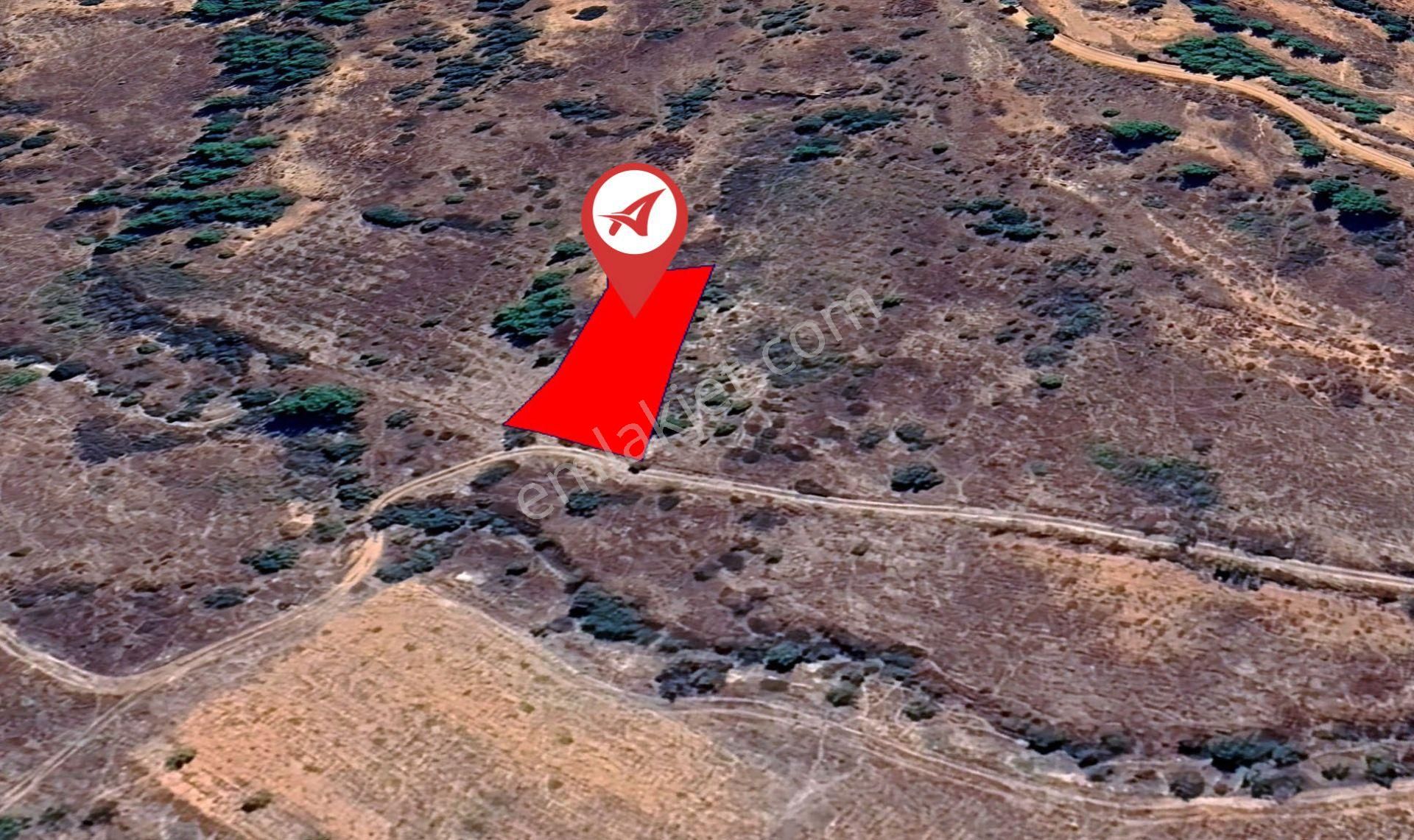 Denizli-çal-süller Satılık-1218m2 Çamlık - Görsel 3
