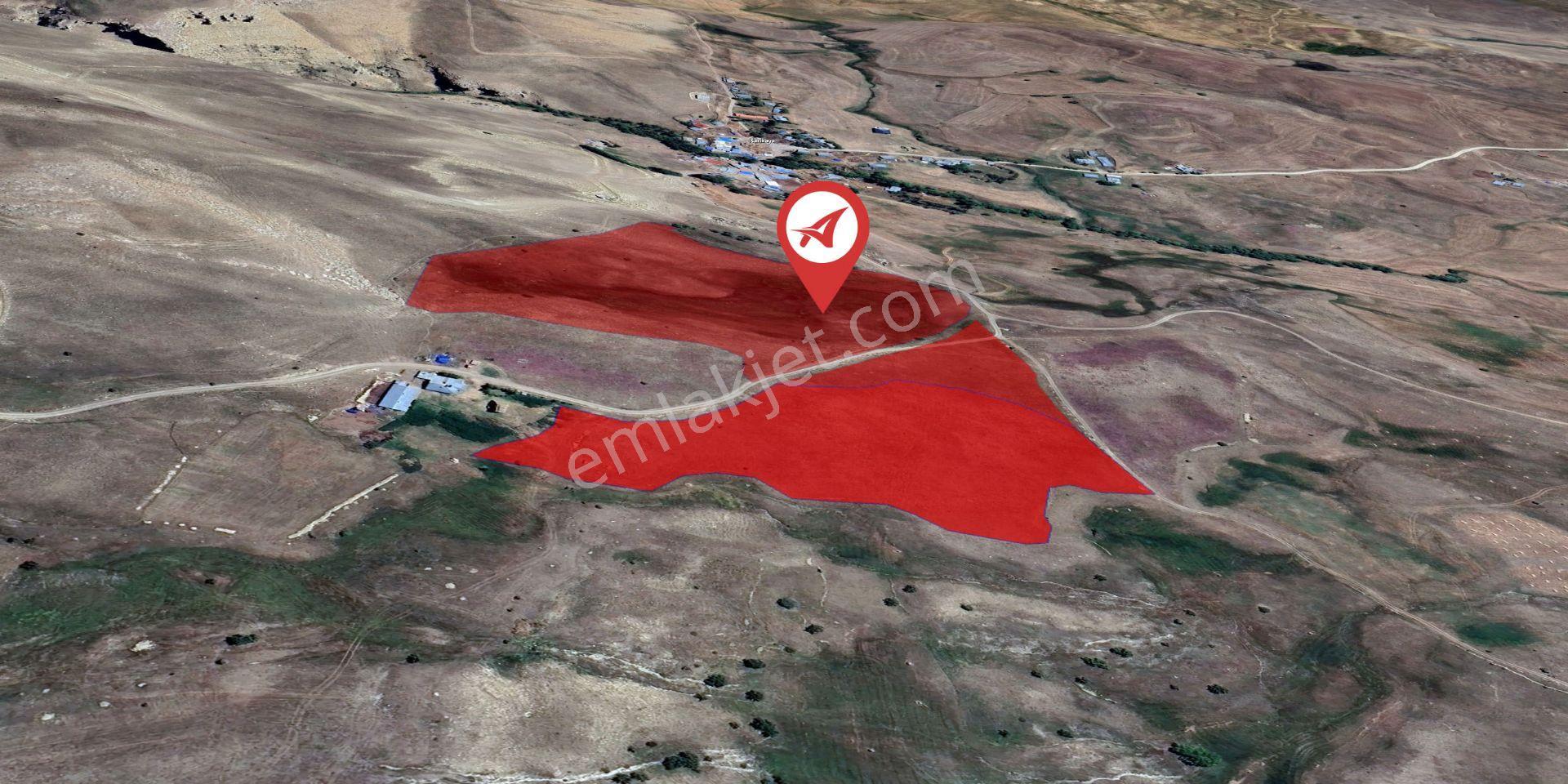 Erzurum-çat-sarıkaya-satılık 65dönüm Tarla - Görsel 14