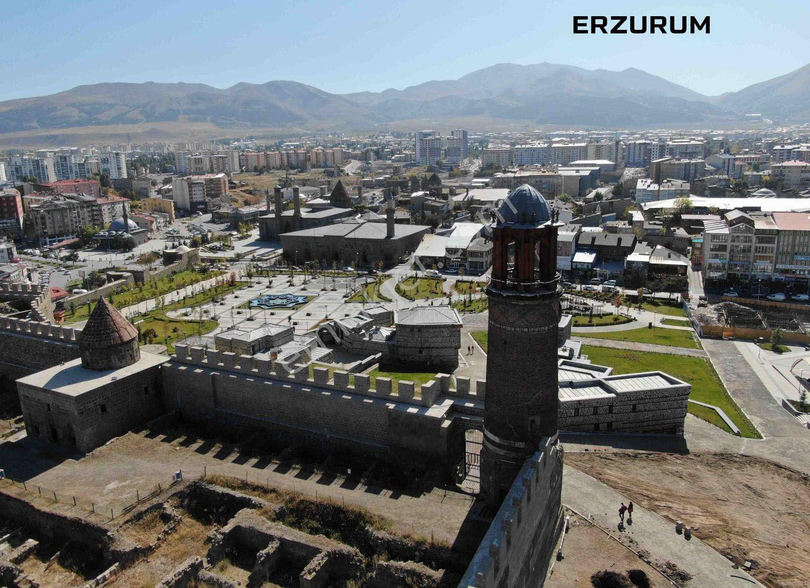 Erzurum-çat-sarıkaya-satılık 65dönüm Tarla - Görsel 22