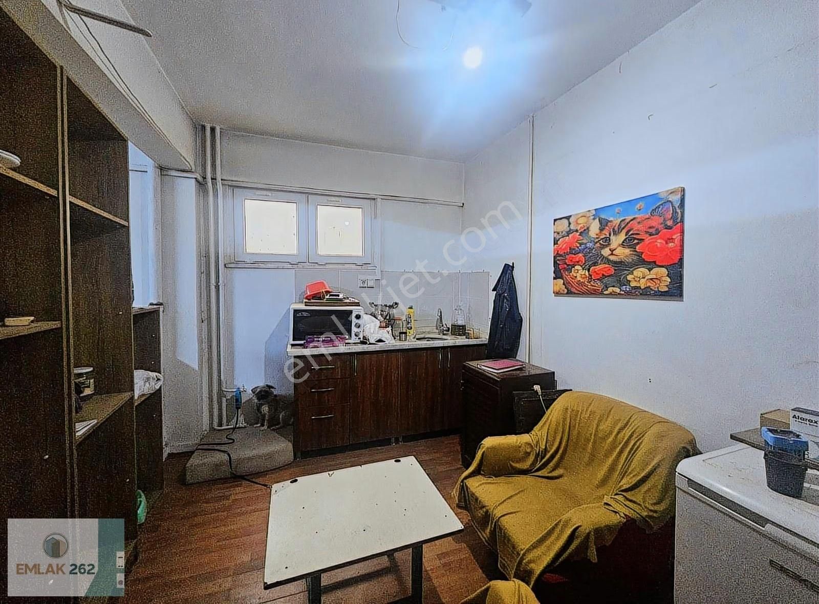 Devren Kiralık Kedi Üretim Evi - Görsel 4