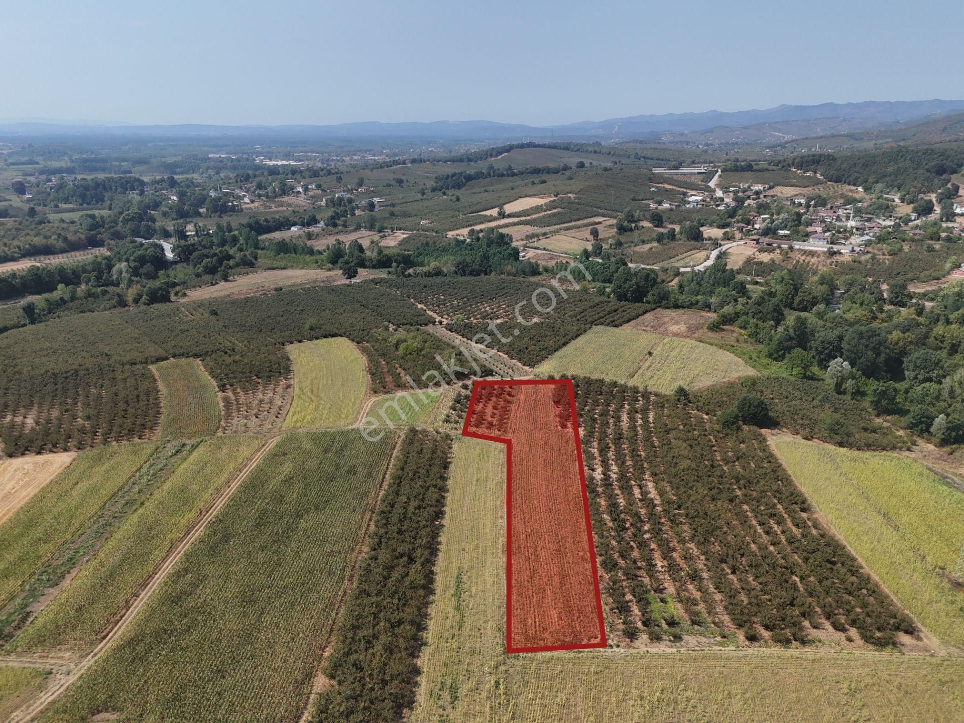 Emlakevim - Karatoprak Mahallesinde Satılık 4.443 M2 İmarlı Tarla ! - Görsel 15