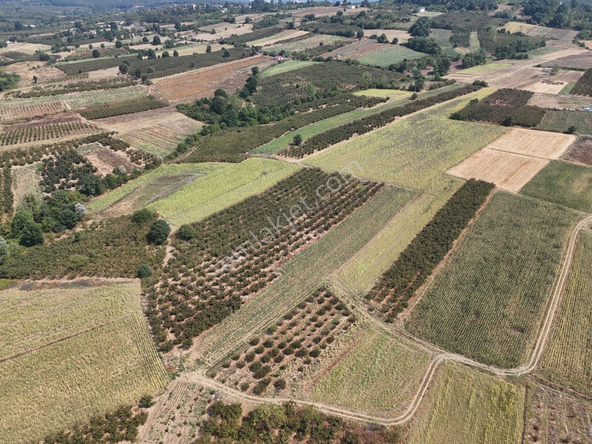 Emlakevim - Karatoprak Mahallesinde Satılık 4.443 M2 İmarlı Tarla ! - Görsel 10