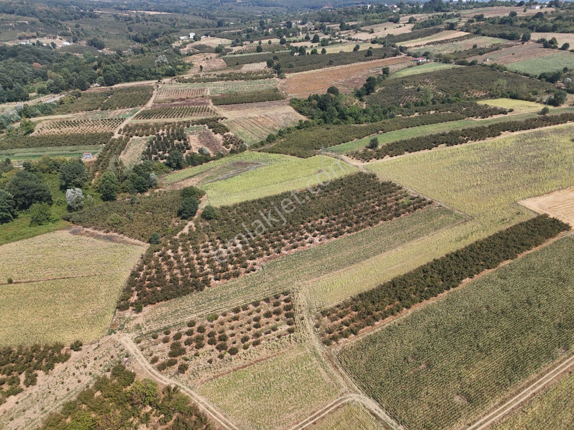 Emlakevim - Karatoprak Mahallesinde Satılık 4.443 M2 İmarlı Tarla ! - Görsel 11