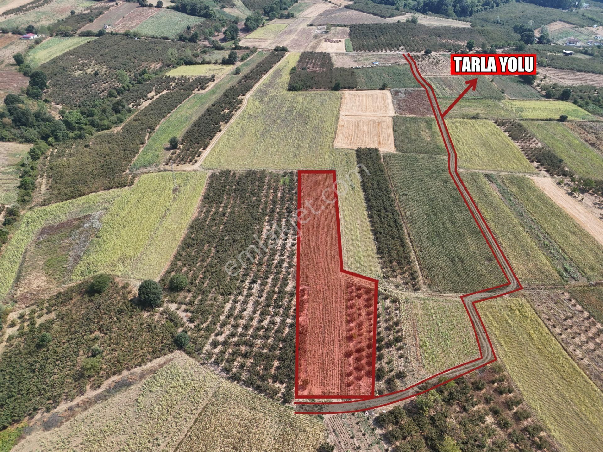 Emlakevim - Karatoprak Mahallesinde Satılık 4.443 M2 İmarlı Tarla ! - Görsel 16