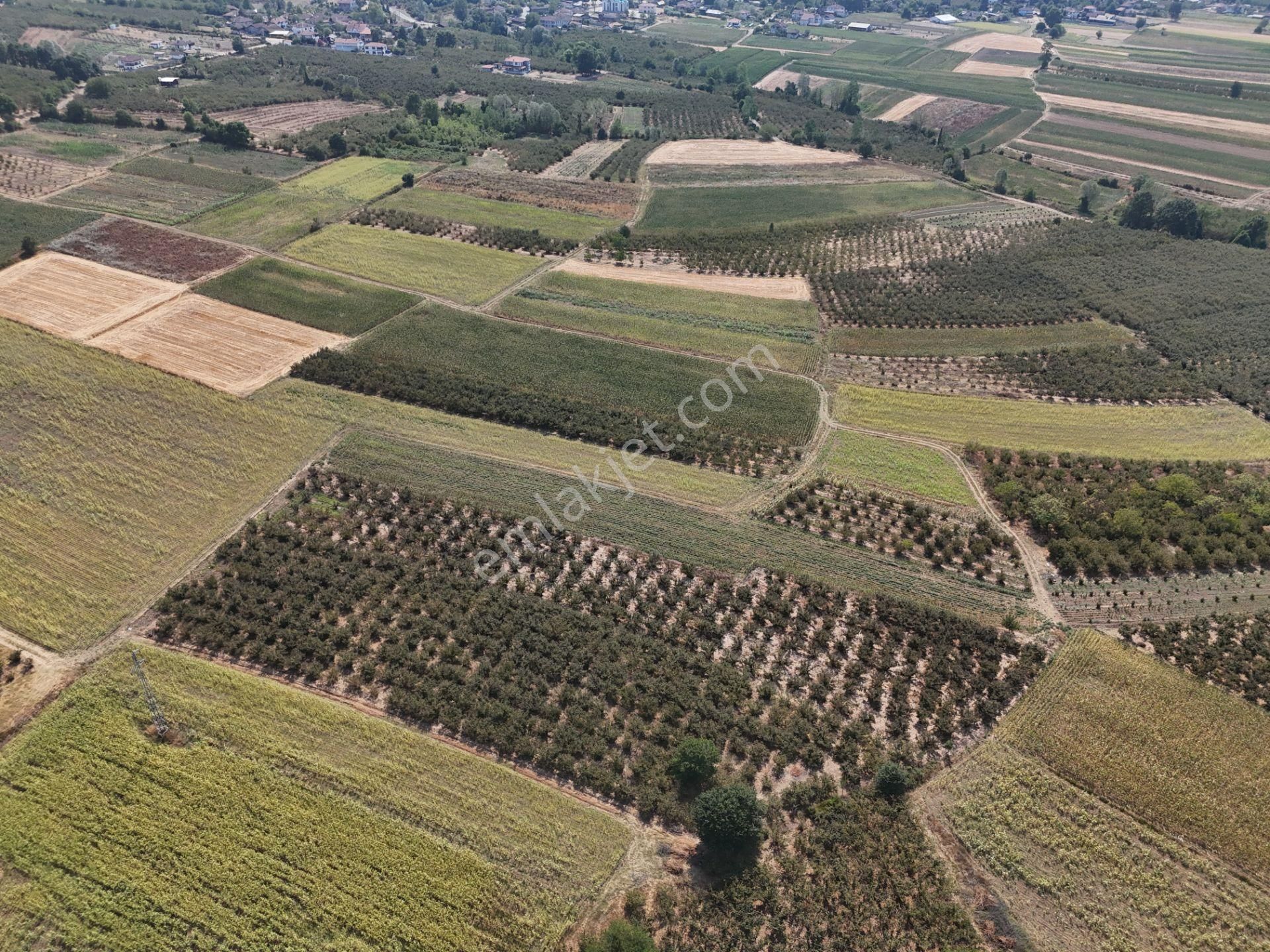 Emlakevim - Karatoprak Mahallesinde Satılık 4.443 M2 İmarlı Tarla ! - Görsel 5