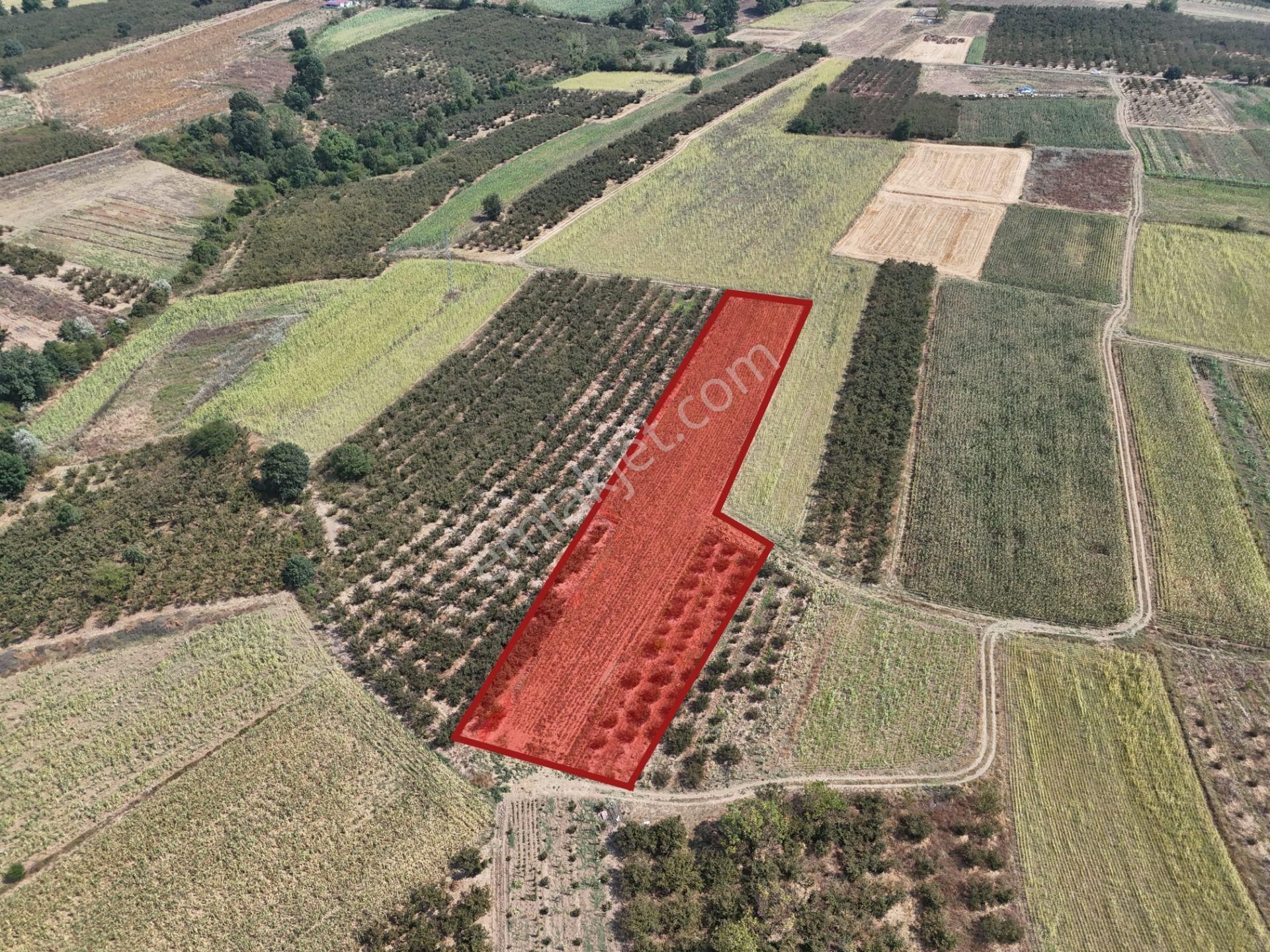 Emlakevim - Karatoprak Mahallesinde Satılık 4.443 M2 İmarlı Tarla ! - Görsel 9