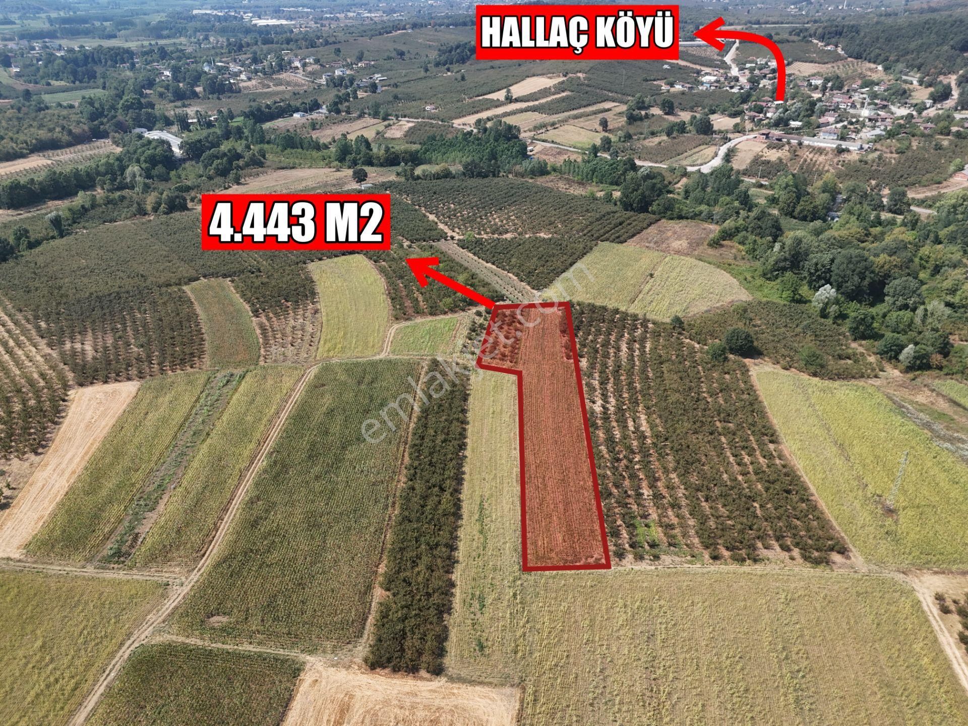 Emlakevim - Karatoprak Mahallesinde Satılık 4.443 M2 İmarlı Tarla !