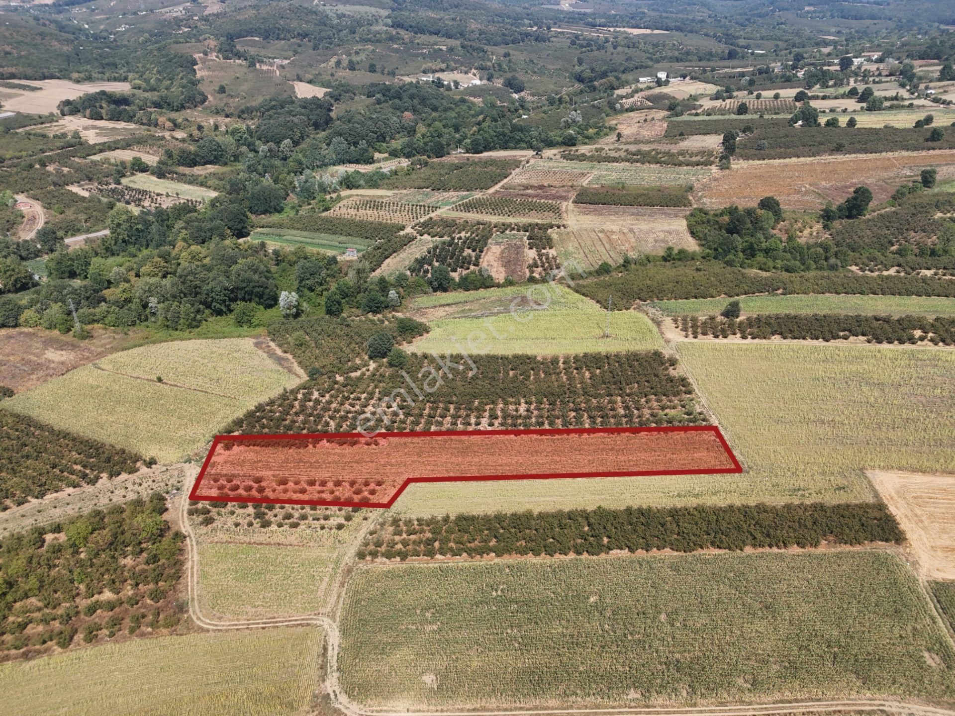 Emlakevim - Karatoprak Mahallesinde Satılık 4.443 M2 İmarlı Tarla ! - Görsel 12