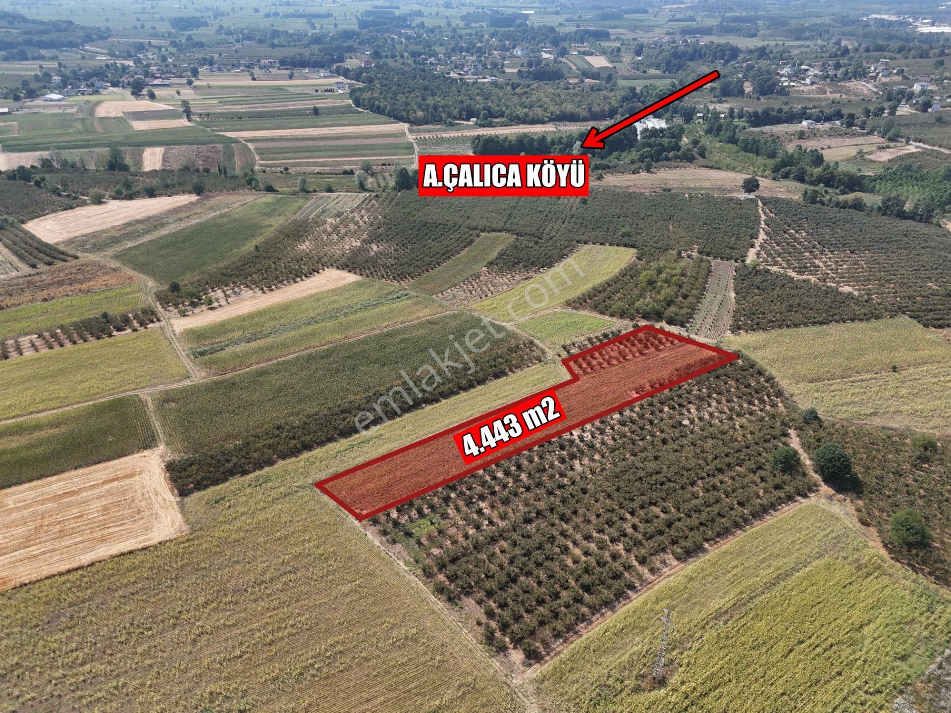 Emlakevim - Karatoprak Mahallesinde Satılık 4.443 M2 İmarlı Tarla ! - Görsel 3