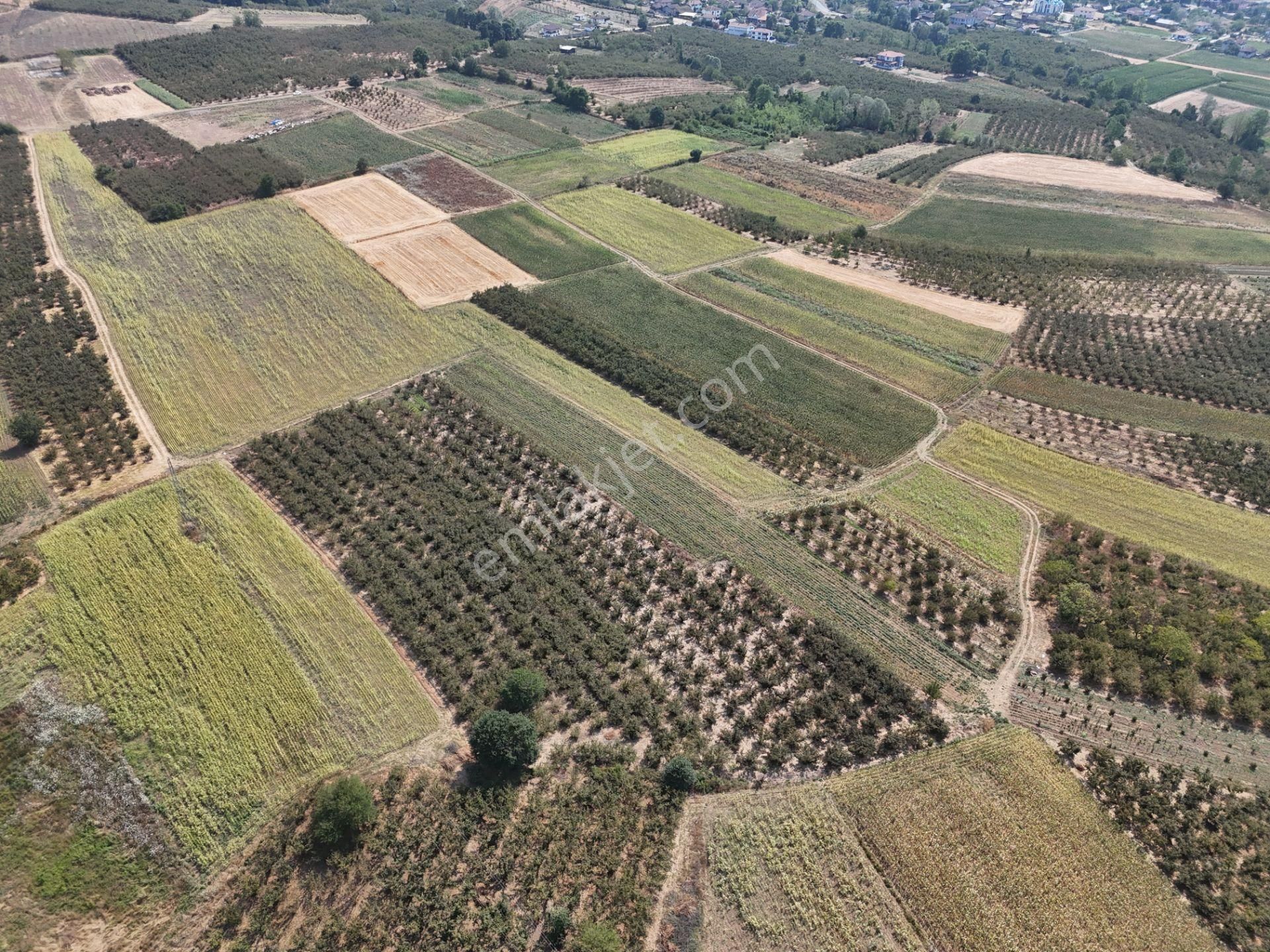 Emlakevim - Karatoprak Mahallesinde Satılık 4.443 M2 İmarlı Tarla ! - Görsel 6